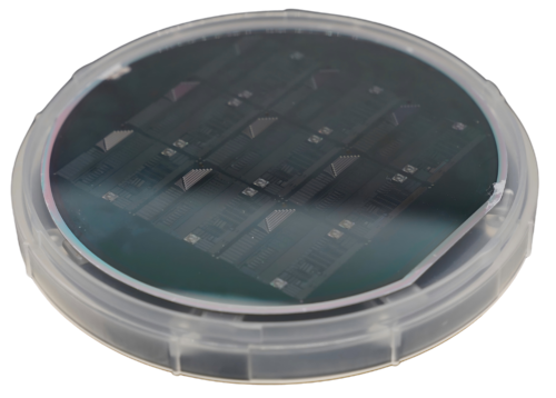 9fe6f1e4-f411-4122-b867-6ac2e77a8815 9fe6f1e4-f411-4122-b867-6ac2e77a8815